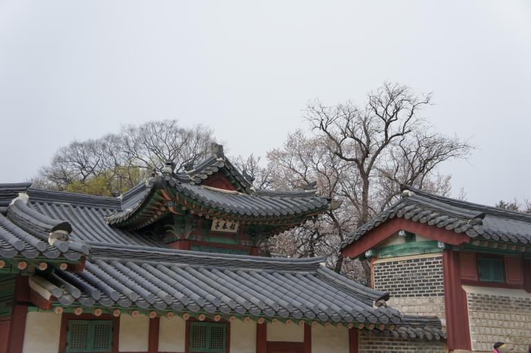 DSC04476.JPG