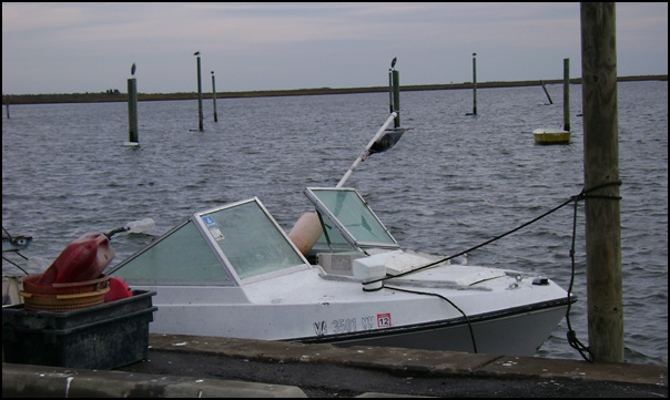 b-DSC01865.JPG