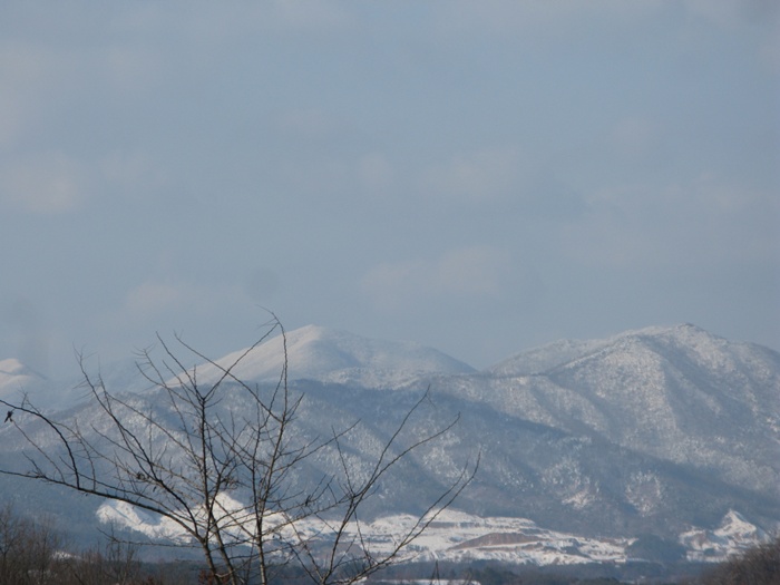 IMG_6223.JPG