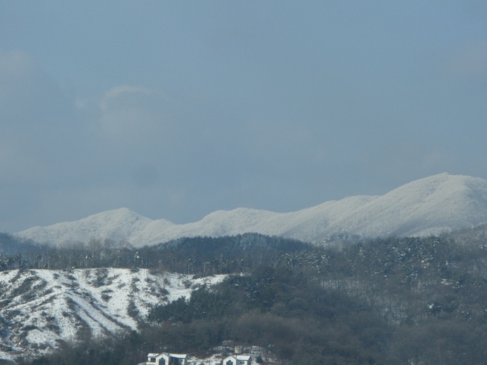 IMG_6229.JPG
