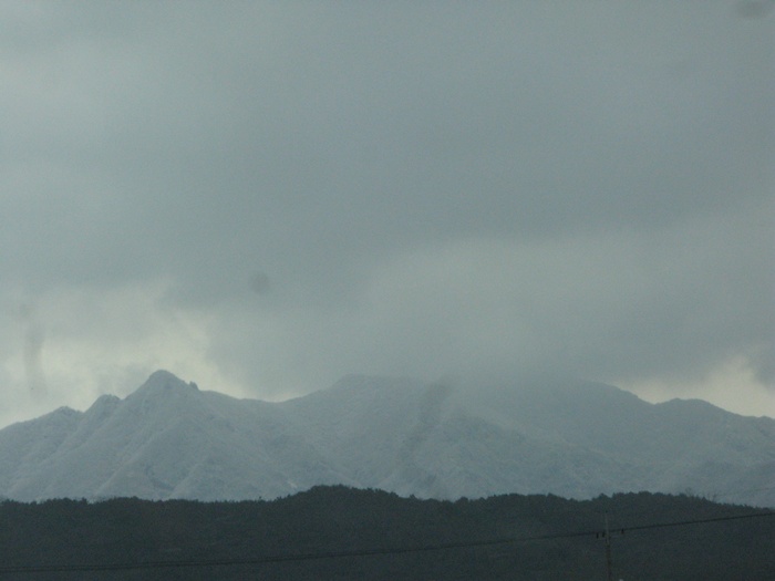 IMG_6259.JPG