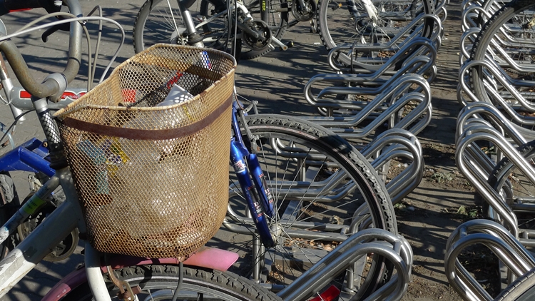 iicc-20140109-23.JPG