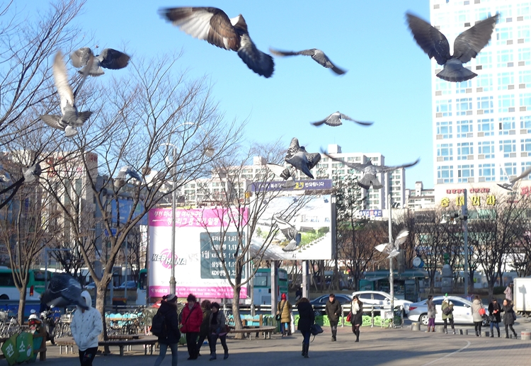 iicc-20140109-25.JPG