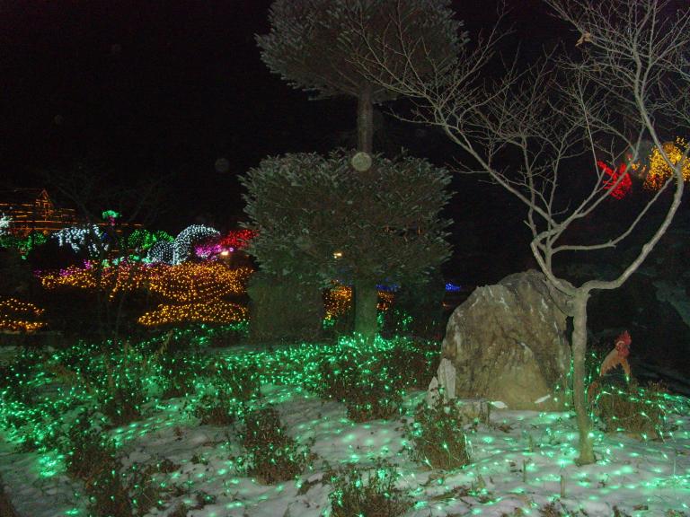 SNV34436.JPG