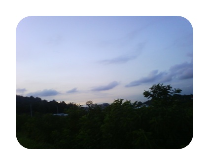 사진090725_108.jpg 사진090725_108.jpg