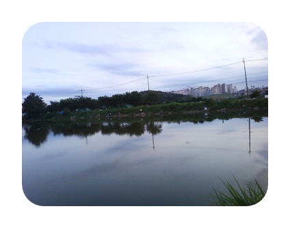 사진090725_82.jpg 사진090725_82.jpg