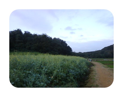 사진090725_84.jpg 사진090725_84.jpg