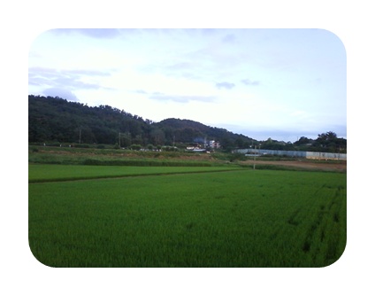 사진090725_85.jpg 사진090725_85.jpg