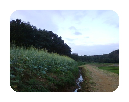사진090725_86.jpg 사진090725_86.jpg