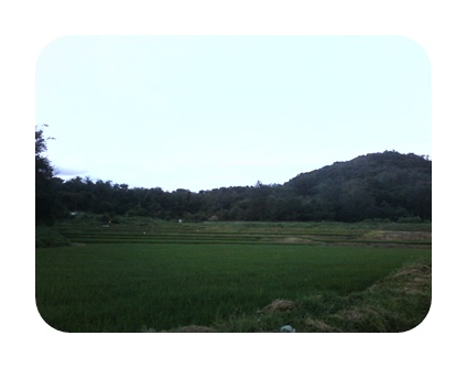 사진090725_87.jpg 사진090725_87.jpg