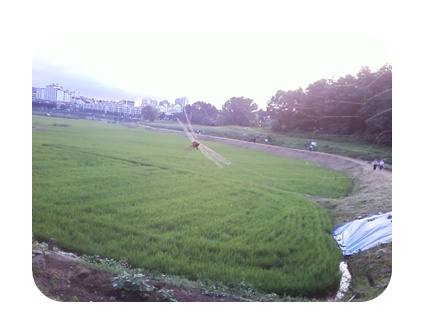 사진090725_88.jpg 사진090725_88.jpg
