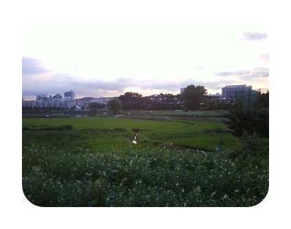 사진090725_91.jpg 사진090725_91.jpg