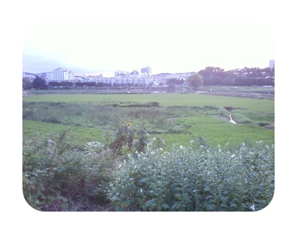 사진090725_92.jpg 사진090725_92.jpg