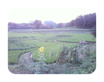 사진090725_93.jpg 사진090725_93.jpg