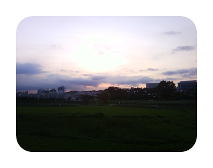 사진090725_94.jpg 사진090725_94.jpg