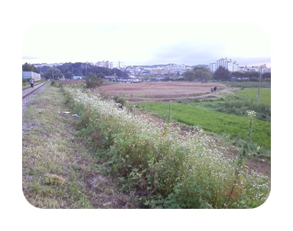 사진090725_95.jpg 사진090725_95.jpg