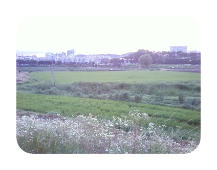 사진090725_96.jpg 사진090725_96.jpg