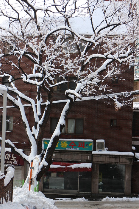 설경2.jpg