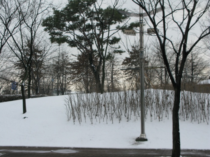 IMG_6675.JPG