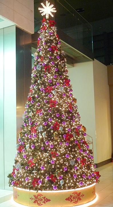 inil-20091225-38.JPG