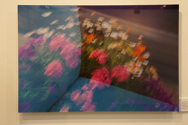 DSC07213-1 - 복사본.JPG