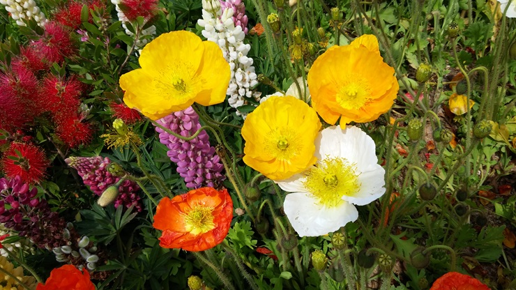 20140517_104818.jpg