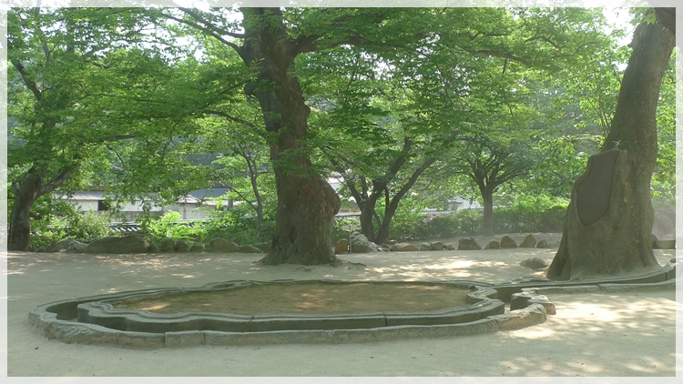 20090616-039.JPG