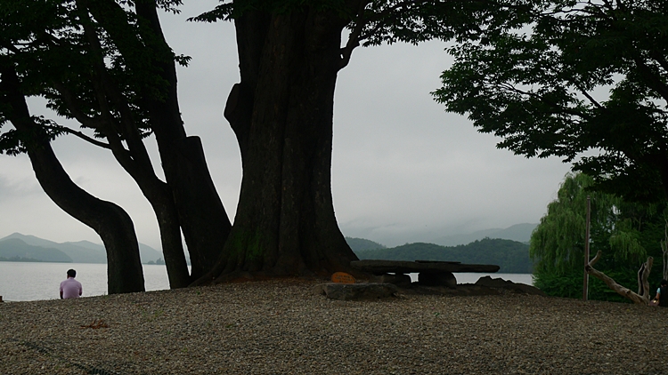dm-20100723-60.JPG
