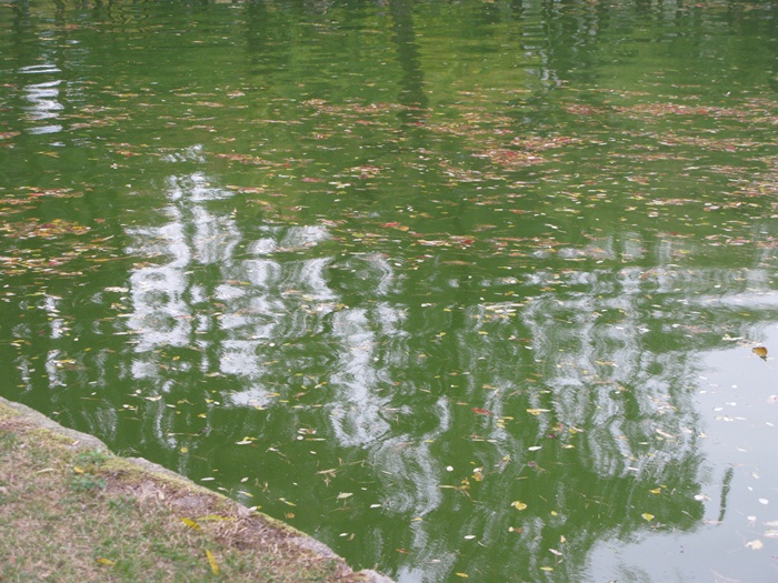 IMG_3927.JPG