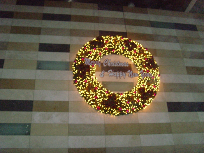 SNV38477.JPG