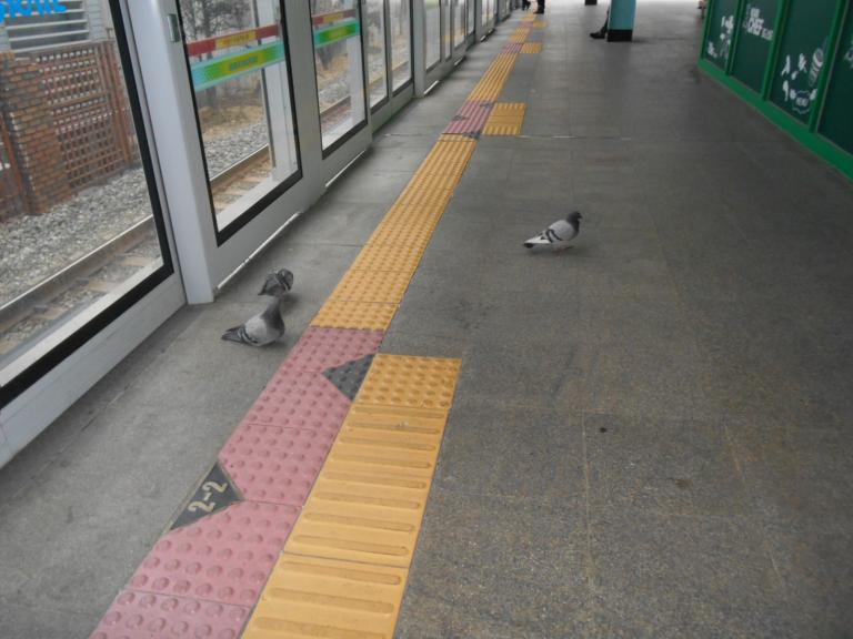 DSCN0114.JPG