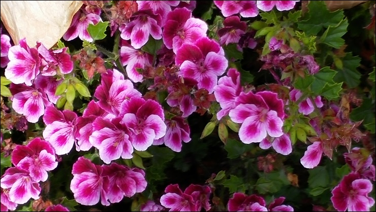 20140517_105559.jpg