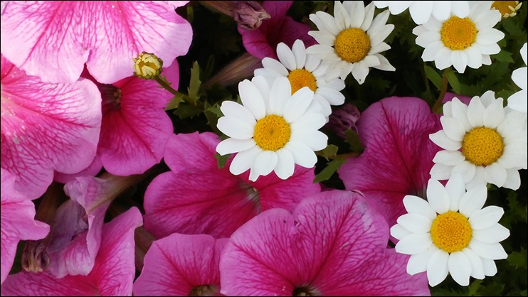 20140517_105707.jpg