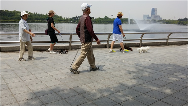 20140517_112341.jpg