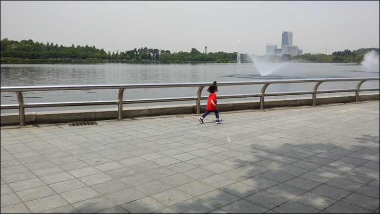 20140517_112348.jpg
