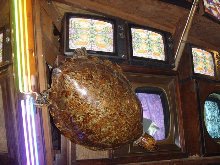 SNV38499.JPG