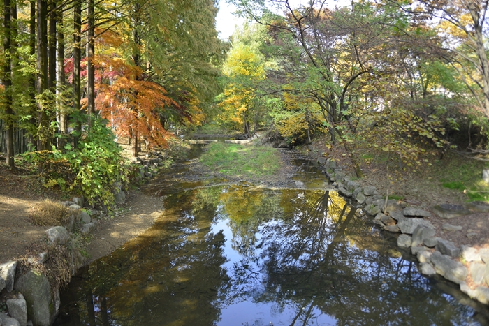 _DSC2349.JPG