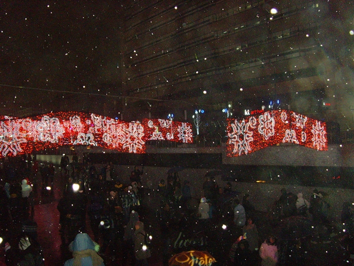 SNV38504.JPG