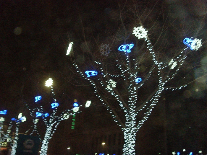 SNV38515.JPG