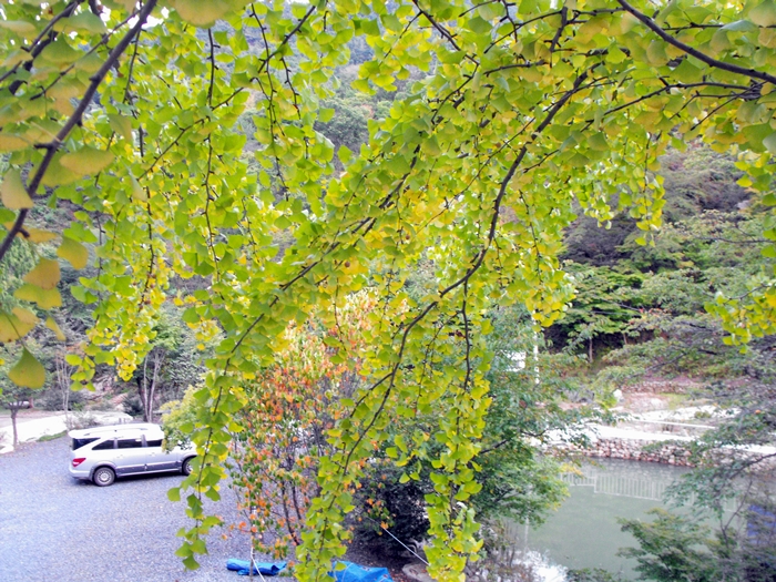 DSCF6979.JPG