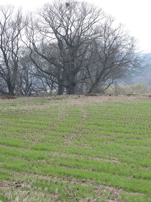 IMG_6780.JPG