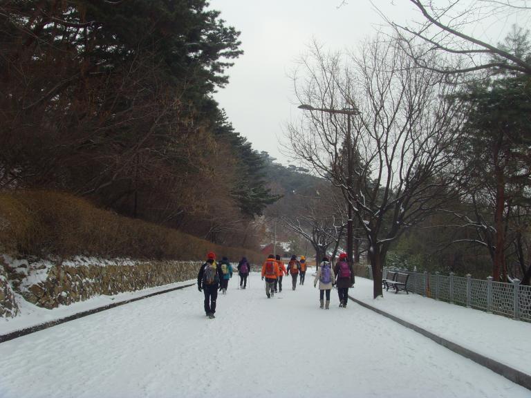 SNV30653.JPG