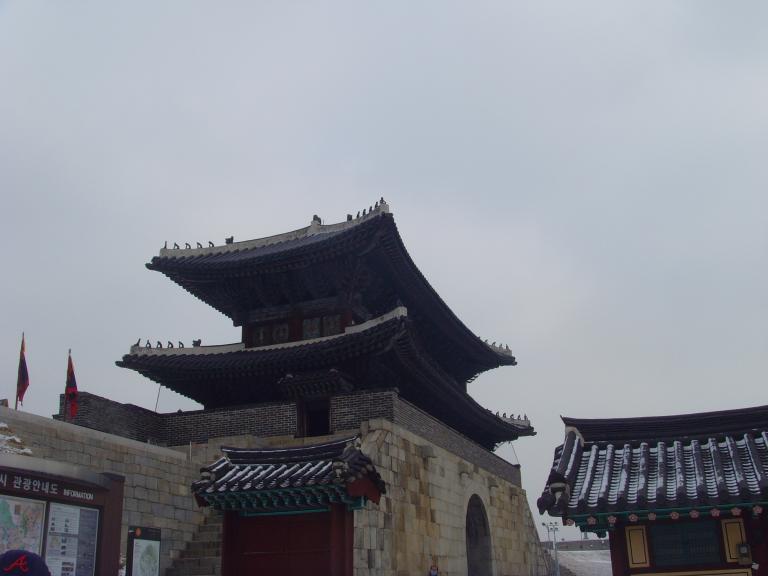 SNV30663.JPG