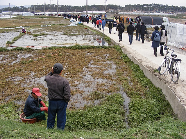 115.jpg