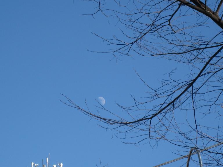 IMG_2804.JPG