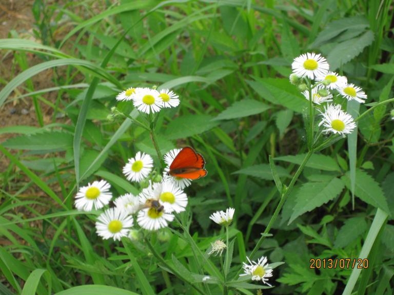 IMG_0015.JPG