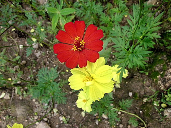 IMG_6327.JPG
