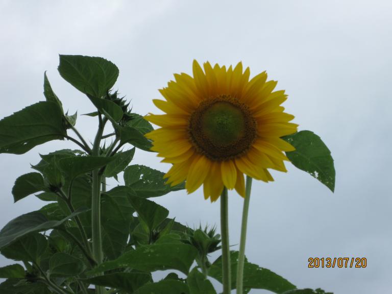 IMG_0023.JPG