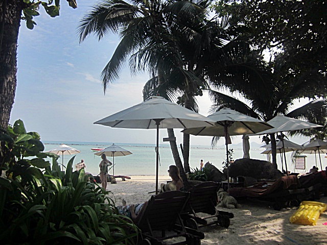IMG_6674.JPG