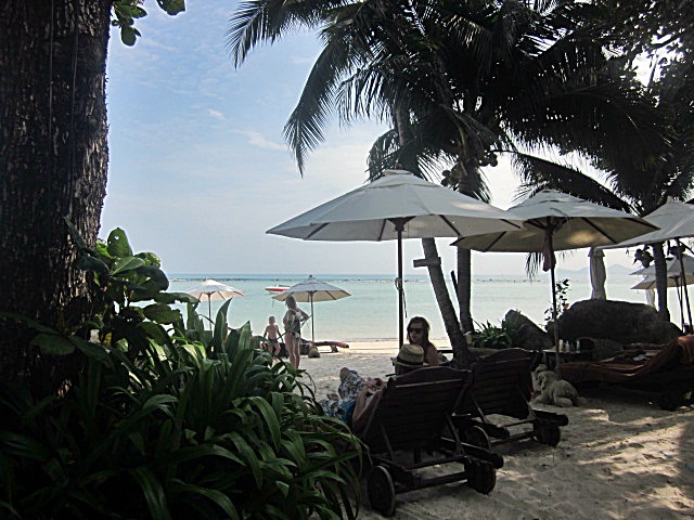 IMG_6675.JPG